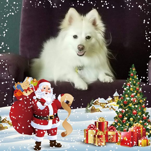 Meet your Posher, Katie mchugh - Picture 1 of 1